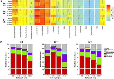 Tillage Changes Vertical Distribution of Soil Bacterial and Fungal Communities